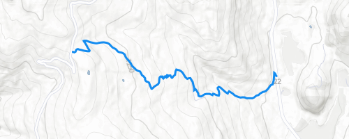 The Dewdney Trail Mountain Biking Trail - Rossland