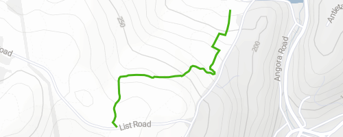 Ferndale Trail - Antietam Lake Park Multi Trail - Reading