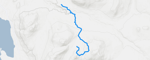 Dominion Creek Mountain Biking Trail - Atlin, BC