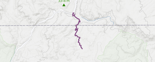 FR117 to Continental Divide Trail Multi Trail - Chama, NM