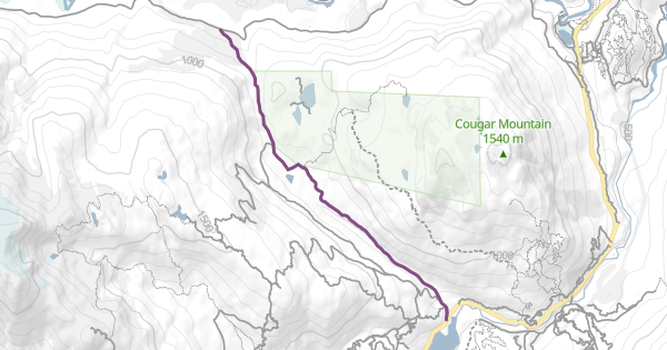 Sixteen Mile Creek FSR Mountain Biking Trail - Whistler