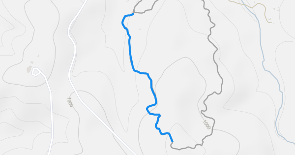 Flow Trail #1 Mountain Biking Trail - Dripping Springs