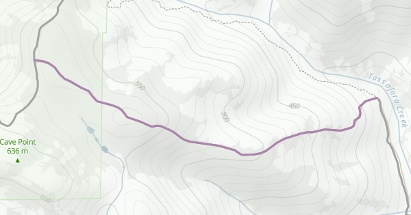 Riggs Canyon Road Multi Trail - Danville, California