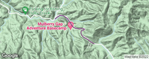 Mulberry discount gap trails