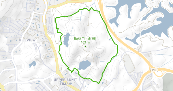 Bukit timah mountain bike trail hotsell