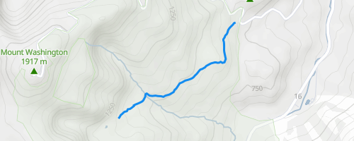 Raymond Path Hiking Trail - Pinkham Notch, New Hampshire