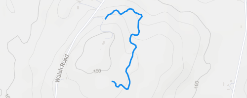 Cheeseburger Loop Section 2 Mountain Biking Trail - - New York