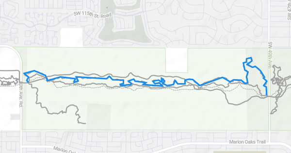 Santos Campground Florida Greenway Santos Ocala Mountain Bike