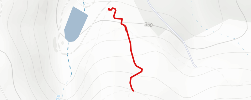 Woodpecker Trail - Alternative Line Mountain Biking Trail - Stuttgart