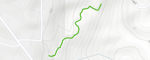 Old Alba Road Multi Trail Ben Lomond California