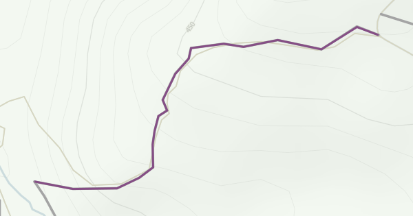 Pukeiti Summit Track Hiking Trail - Taranaki