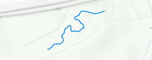 Wild Mountain Trail Map Buck Wild Mountain Biking Trail - Crawley | Trailforks