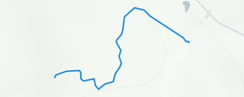 Cannock Chase Blue Route (Section 9) Mountain Biking Trail - Rugeley