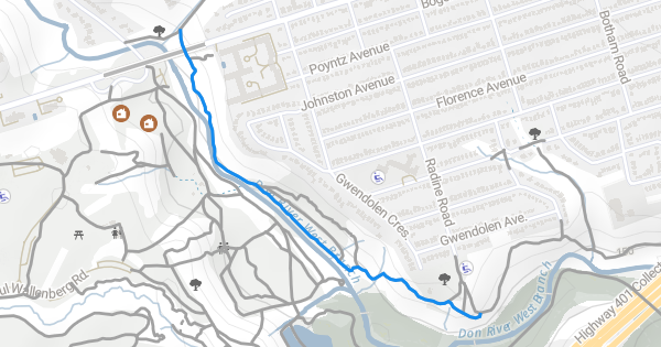 Earl Bales Mountain Biking Trail - Toronto, Ontario