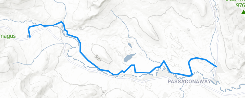 Upper Nanamocomuck Trail Skiing Trail - Pinkham Notch, NH