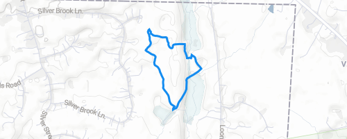 Dismal Brook Loop Trail Hiking Trail - Granby, CT