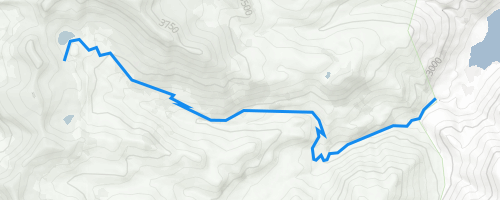 Archuleta Lake Trail Hiking Trail - South Fork, CO