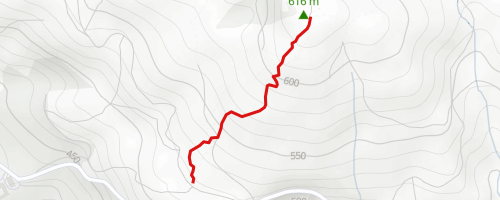 Salamander-Trail Mountain Biking Trail - Linz