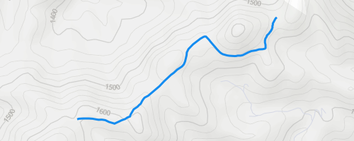 Mount Helena Ridge Trail (Lower) Mountain Biking Trail - Helena