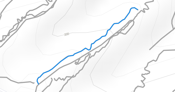 Flow Trail Mountain Biking Trail - Rangiora | Trailforks