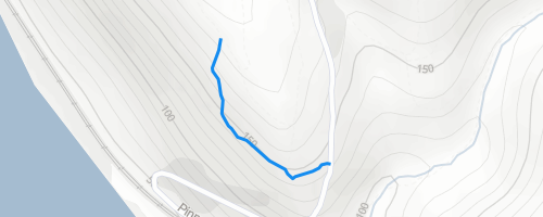 Conestoga Trail System Hiking Trail - 527574 1 500x200