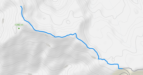 Castle Ridge Trail Hiking Trail - Randle, Washington