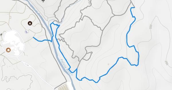 Cedar Brake Outer Loop Single Track Multi Trail - Glen Rose