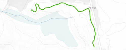 Cheeseman Super D Mountain Biking Trail - Blackwood