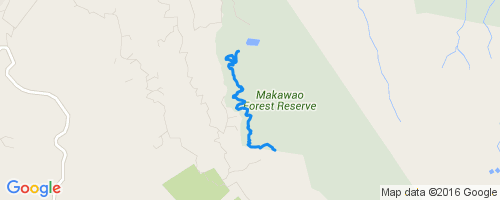 Kahakapao West Loop Trail Mountain Biking Trail - Makawao