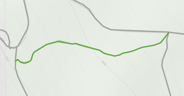 Rocky Bypass Hiking Trail - Alamo, California