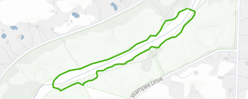 Yellow Trail Loop Mountain Biking Trail - North Port