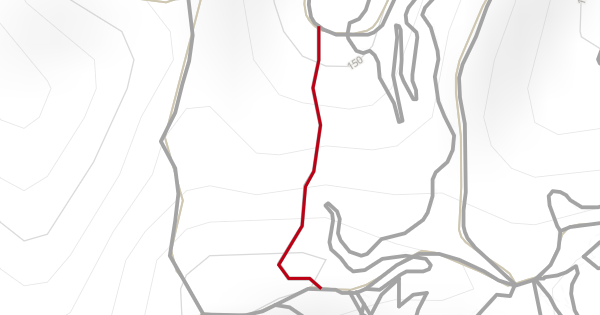 Devils Ridge Mountain Biking Trail - Whangarei