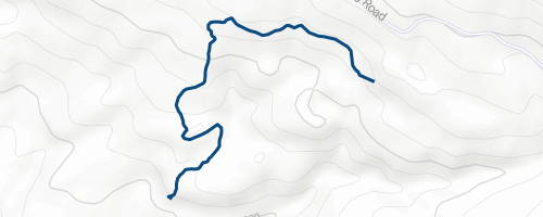 Whare Flat XC Mountain Biking Trail - Dunedin