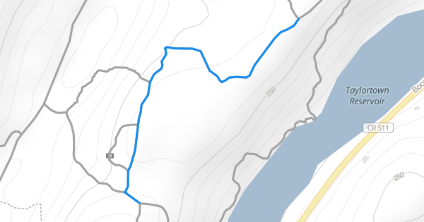 Blue Dot Trail Hiking Trail - - New Jersey | Trailforks