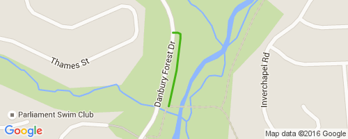 Danbury Forest Trail Mountain Biking Trail - Springfield