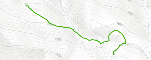 Camí Vell de Roní Mountain Biking Trail - Tremp