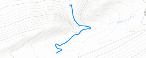 Musser Gap Reroute Multi Trail - State College, PA