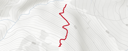 Parzino Vertical Trail Mountain Biking Trail - Darfo Boario