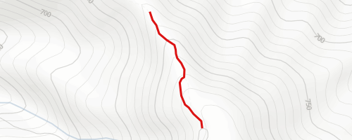 Las Tres Cruces Mountain Biking Trail - Pamplona