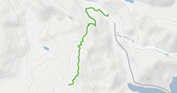 Angwin County Cedar Roughs Trail Hiking Trail - Angwin, CA