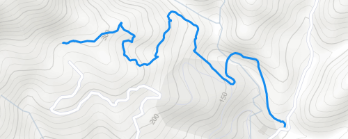 Yetopia/Bosvark/山豬線 Mountain Biking Trail