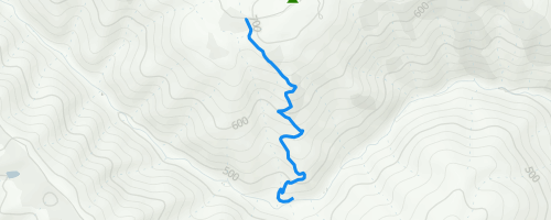 Madrone Soda Springs Trail Multi Trail - Morgan Hill