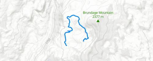 Grouse Mountain Biking Trail McCall Idaho