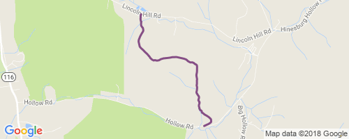 Lost in the Right Direction: Navigating the Allure of Vast Trail Maps