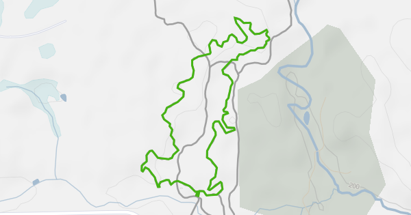 Single Track Flow Trail Mountain Biking Trail - Gladstone