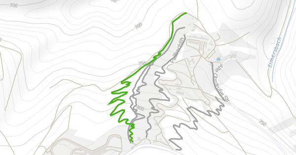 Family Flow Trail Mountain Biking Trail - Oberhof
