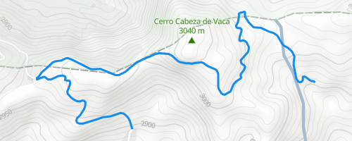 On the Trail of de Vaca