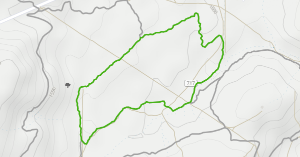 James Lee Loops (West) Multi Trail - Indian Hills, Nevada