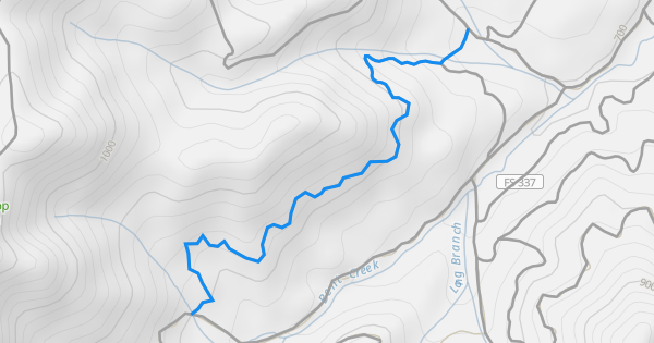Lower Sidehill Western Multi Trail Bent Creek NC 7377 2 600x315 