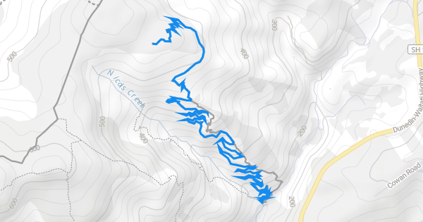 Nicols Creek - Switchback Track Mountain Biking Trail - Dunedin